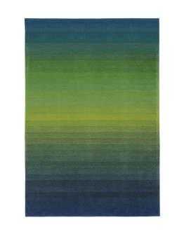 Dynamic 5040 Blau / Grün